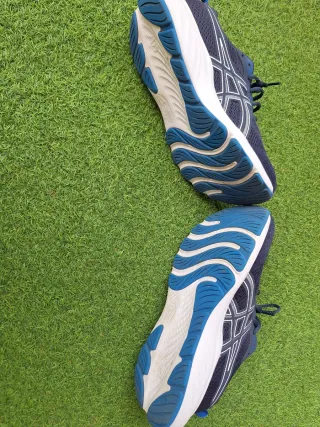 Zapatillas Asics Gel Windhawk