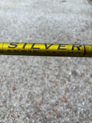 Canna da pesca Silver Tecna