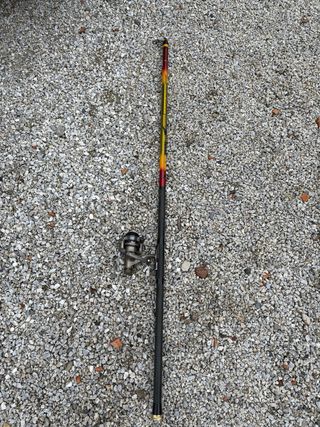 Canna da pesca Silver Tecna