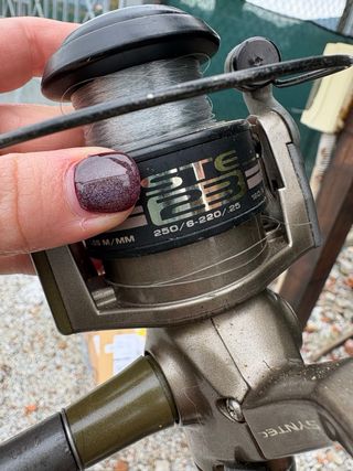 Canna da pesca Silver Tecna