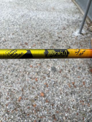 Canna da pesca Silver Tecna