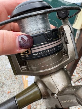 Canna da pesca Silver Tecna