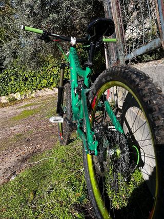 Bicicleta Specialized Enduro/DH