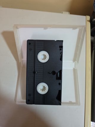 VHS Novio de Alquiler (Picture Perfect)