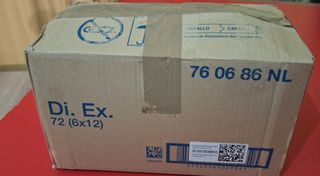 Lote 13 prendas ropa mujer