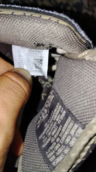 Zapatillas Nike Dunk SB Beige y Negro