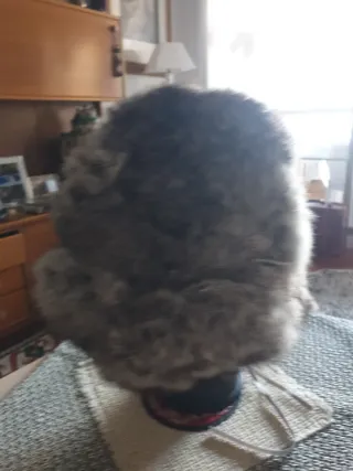 Gorro de pelo gris natural vintage