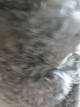 Gorro de pelo gris natural vintage