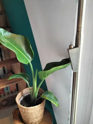 Lámpara de pie original