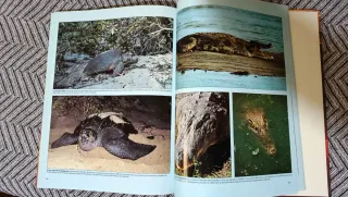 Libro El Planeta Vivo