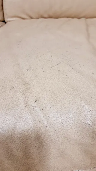 Sofás de piel beige 3+2 plazas