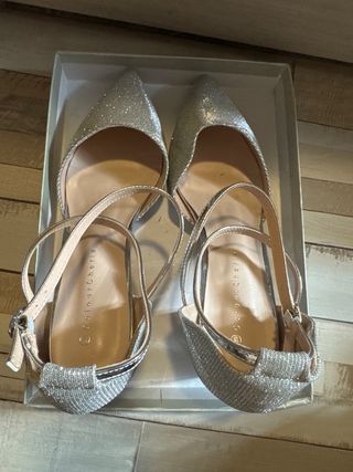 Zapatos de fiesta plateados