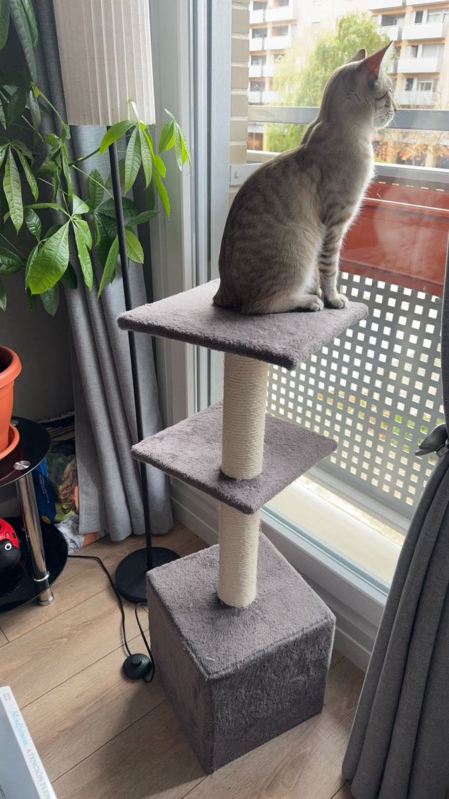 Torre rascador para gatos
