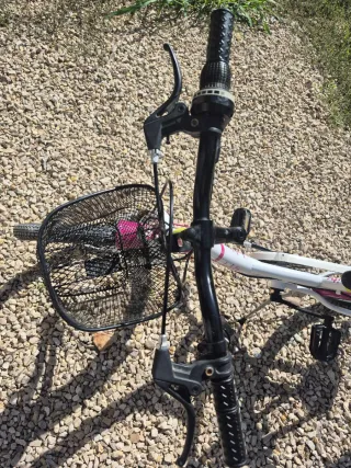 Bicicleta niña Denbike 20 pulgadas