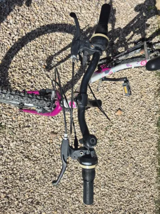 Bicicleta niña Denbike 20 pulgadas