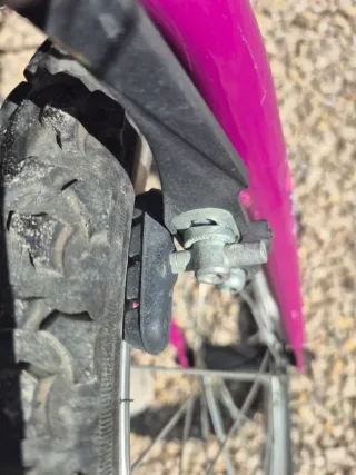 Bicicleta niña Denbike 20 pulgadas