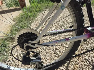 Bicicleta niña Denbike 20 pulgadas