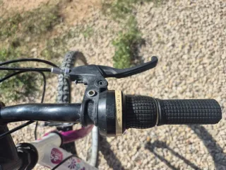 Bicicleta niña Denbike 20 pulgadas