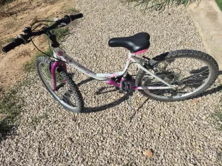 Bicicleta niña Denbike 20 pulgadas