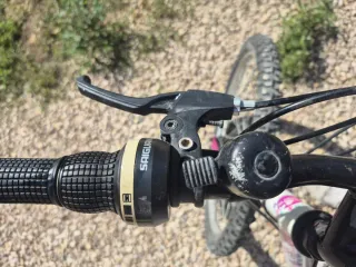 Bicicleta niña Denbike 20 pulgadas