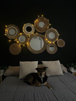 Set decorativo de 7 Espejos + REGALO