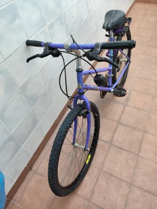 Bicicleta Montaña Orbea Morada