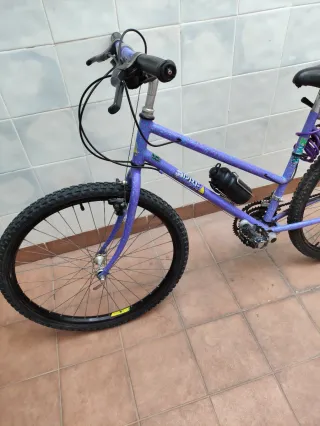 Bicicleta Montaña Orbea Morada