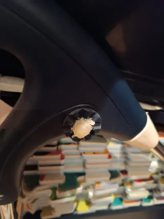 Coche de muñecas Inglesina azul