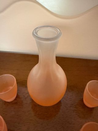 Bottiglia e 5 Bicchierini Vetro Satinato