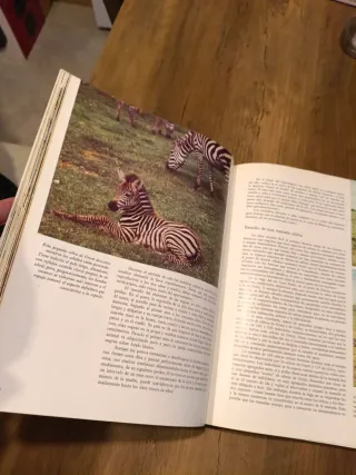 Enciclopedia Salvat De La Fauna