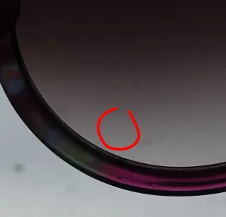 Gafas de sol Carolina Herrera Multicolor