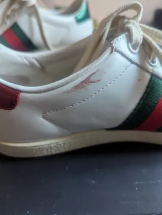 Zapatillas Gucci Ace Mujer Auténticas