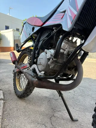 Rieju RR 50cc