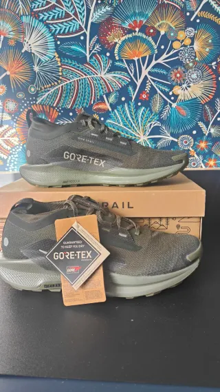 Nike Pegasus Trail 5 Gore-tex zapatillas trail