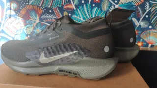 Nike Pegasus Trail 5 Gore-tex zapatillas trail