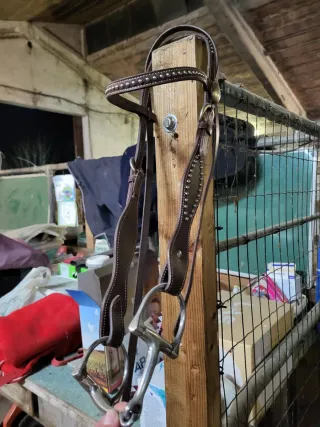 Testiera western monta americana con filetto D