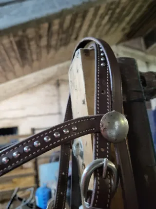 Testiera western monta americana con filetto D