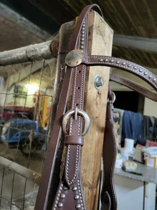 Testiera western monta americana con filetto D