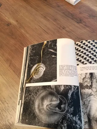 Gran enciclopedia ilustrada del Reino animal
