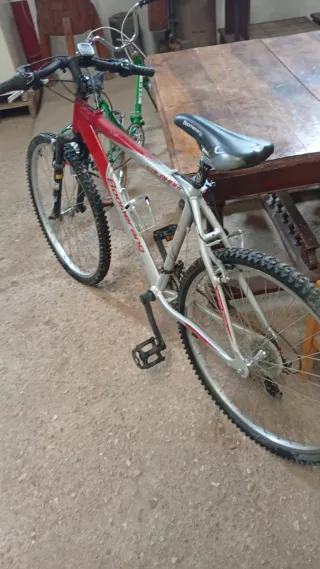 Bicicleta de montaña aluminio Boomerang