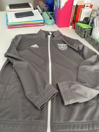Chándal Adidas Gris y Azul CF Mollet