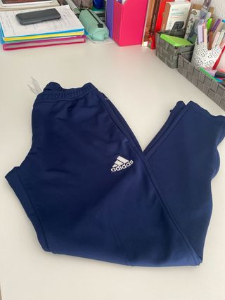 Chándal Adidas Gris y Azul CF Mollet