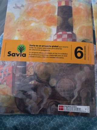 Libros de ciencias sociales 6º primaria