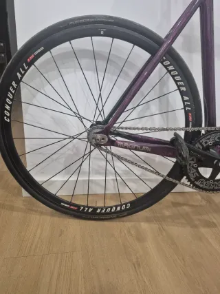 Fixie Skream Magnum24