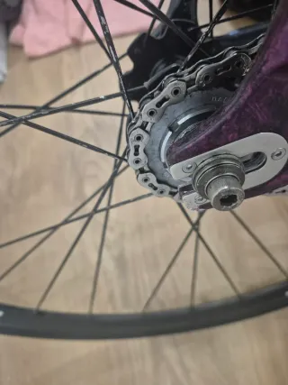 Fixie Skream Magnum24