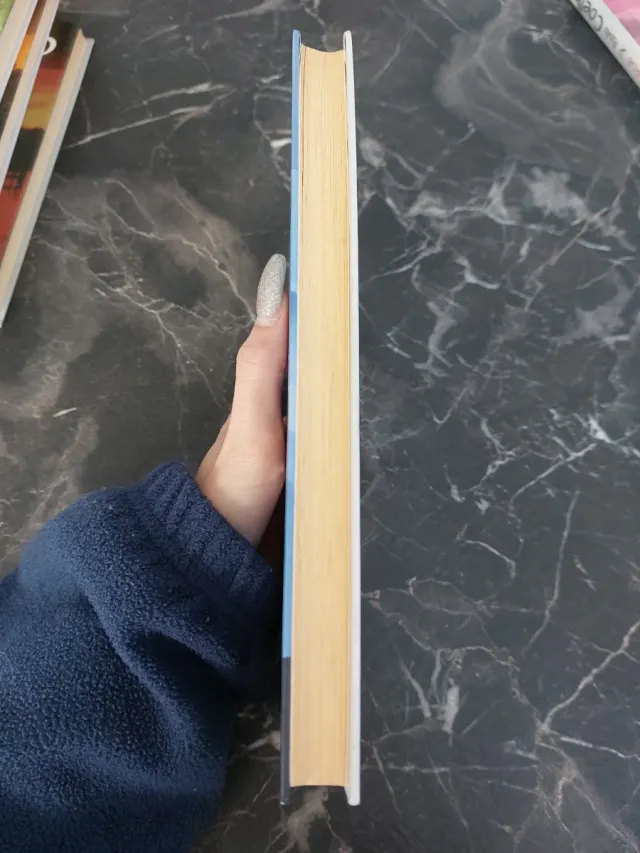 Libro El Peregrino de Compostela Paulo Coelho.