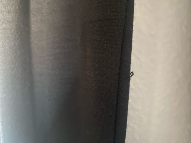 Helly Hansen Lifa Merino Térmico Mujer