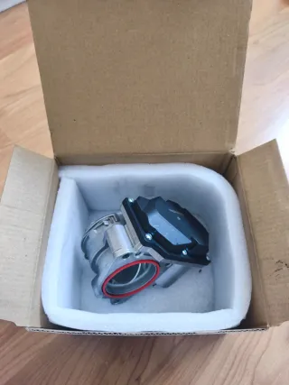 Cuerpo de mariposa a estrenar