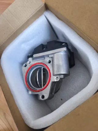 Cuerpo de mariposa a estrenar