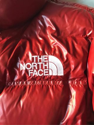 Plumas corto The North Face rojo